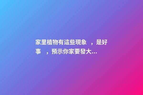家里植物有這些現象，是好事，預示你家要發大財了！